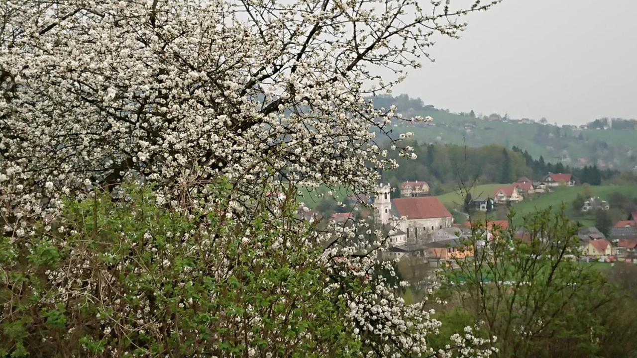 Gaestehaus Der Gamser Winzerstube Bad Gams Εξωτερικό φωτογραφία