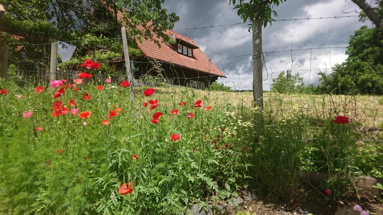 Gaestehaus Der Gamser Winzerstube Bad Gams Εξωτερικό φωτογραφία